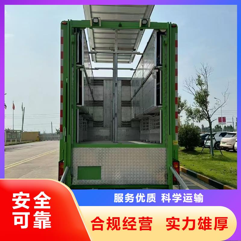 宿遷市到畜禽運輸網絡廣泛