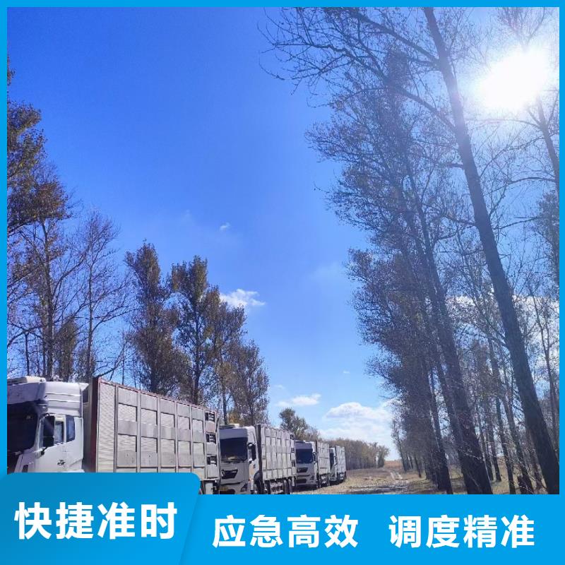 宿遷市沭陽到牲畜運輸平穩