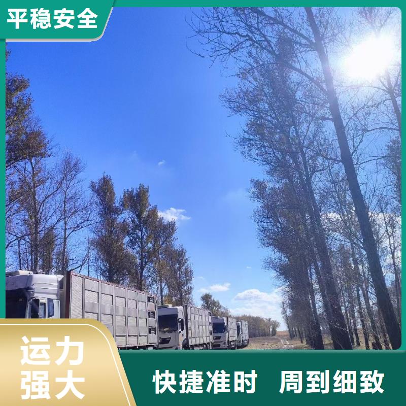 宿遷到空調(diào)車運輸資質(zhì)齊全