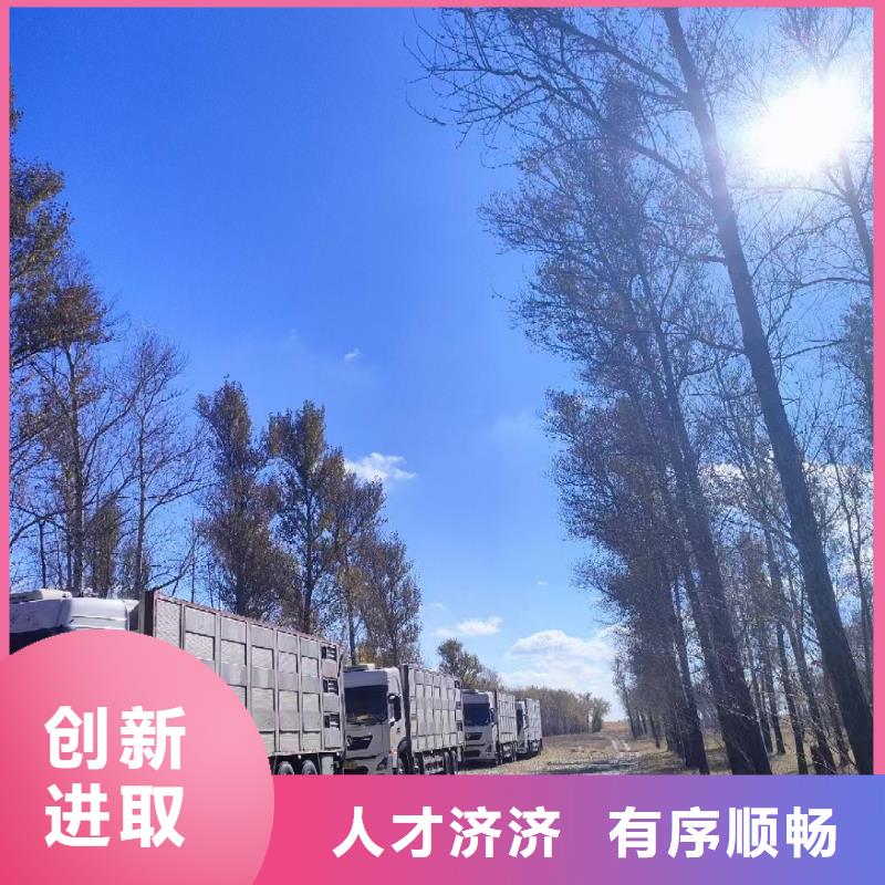 宿遷到豬籠車運(yùn)輸服務(wù)周到