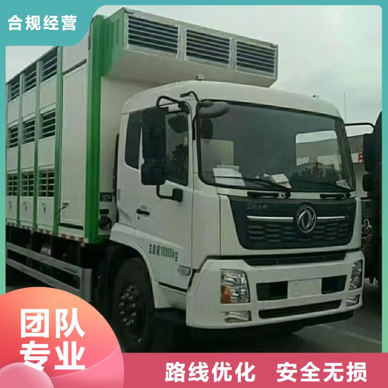 宿遷市到畜禽運輸網絡廣泛