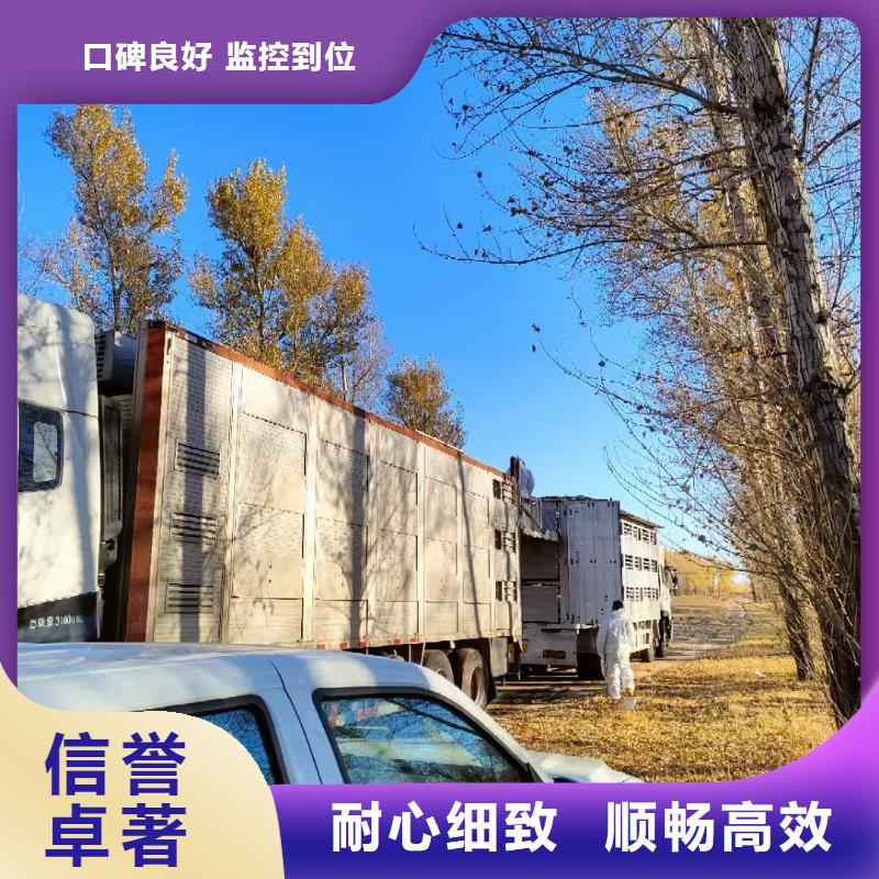 宿遷到仔豬恒溫車運輸部分地區當天達