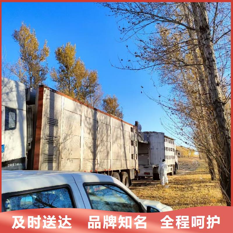 宿遷到仔豬恒溫車運輸部分地區當天達
