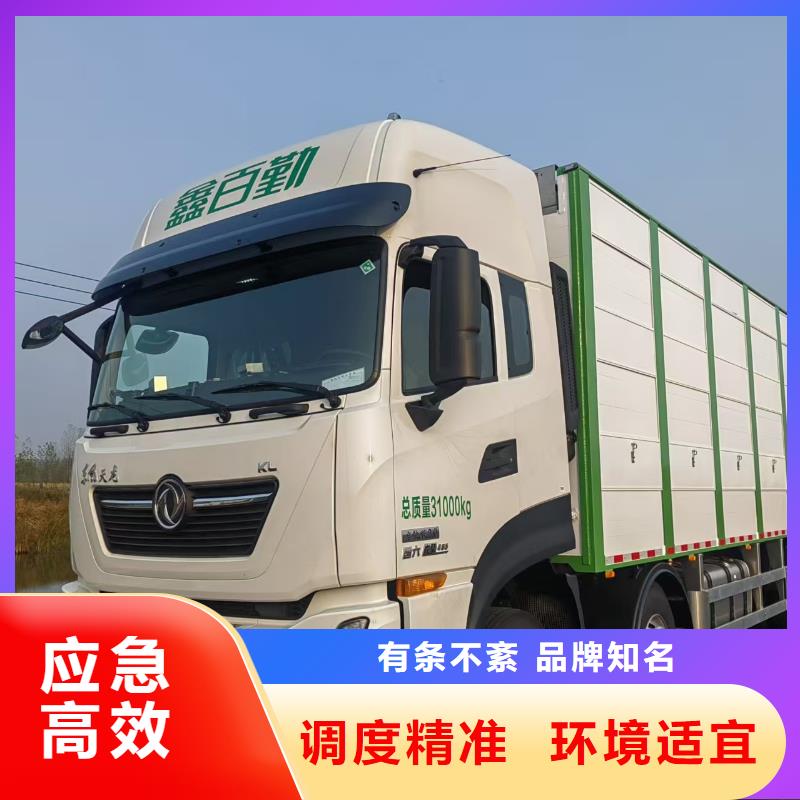 宿遷到羊運輸專用車服務有保障