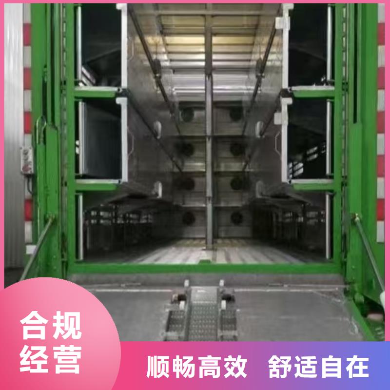 宿遷市泗陽到種豬運輸人才濟濟