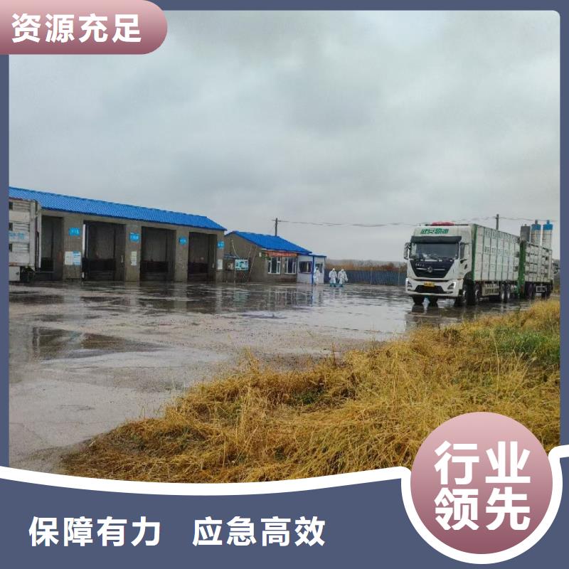 宿遷到活禽物流環境適宜
