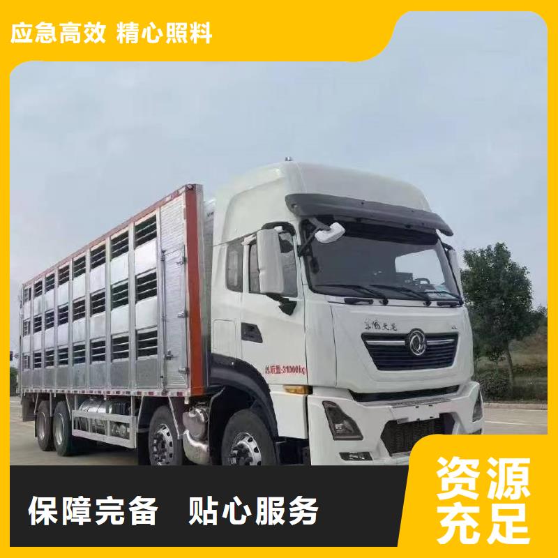 宿遷到仔豬恒溫車運輸快捷