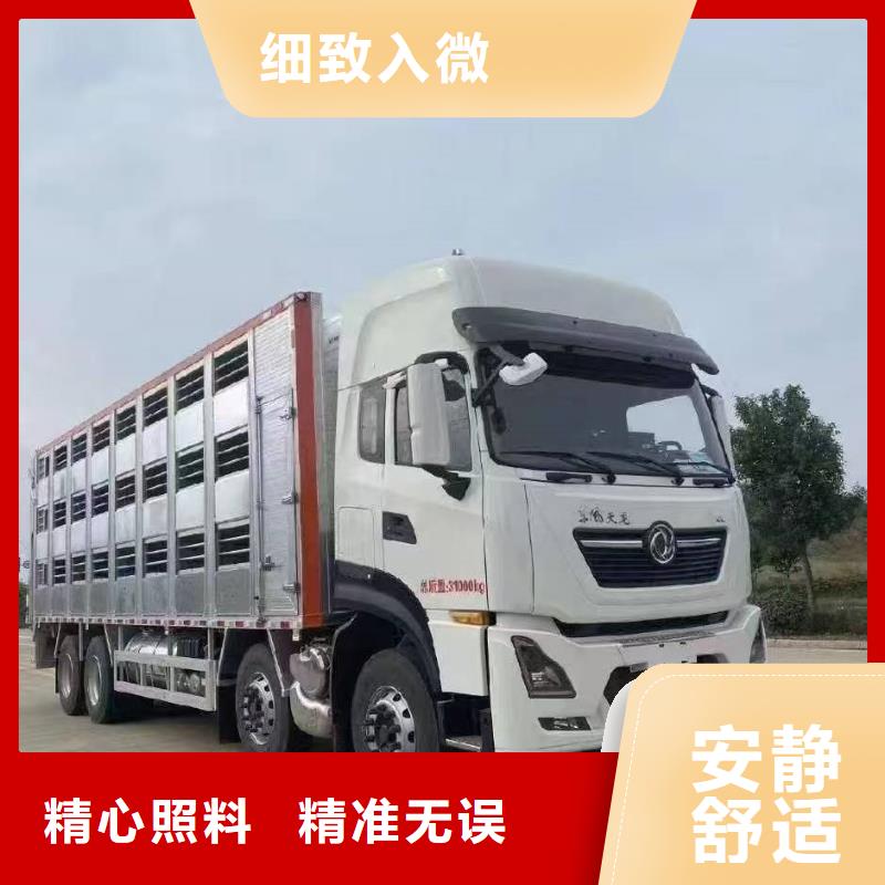 宿遷到仔豬恒溫車運輸部分地區當天達