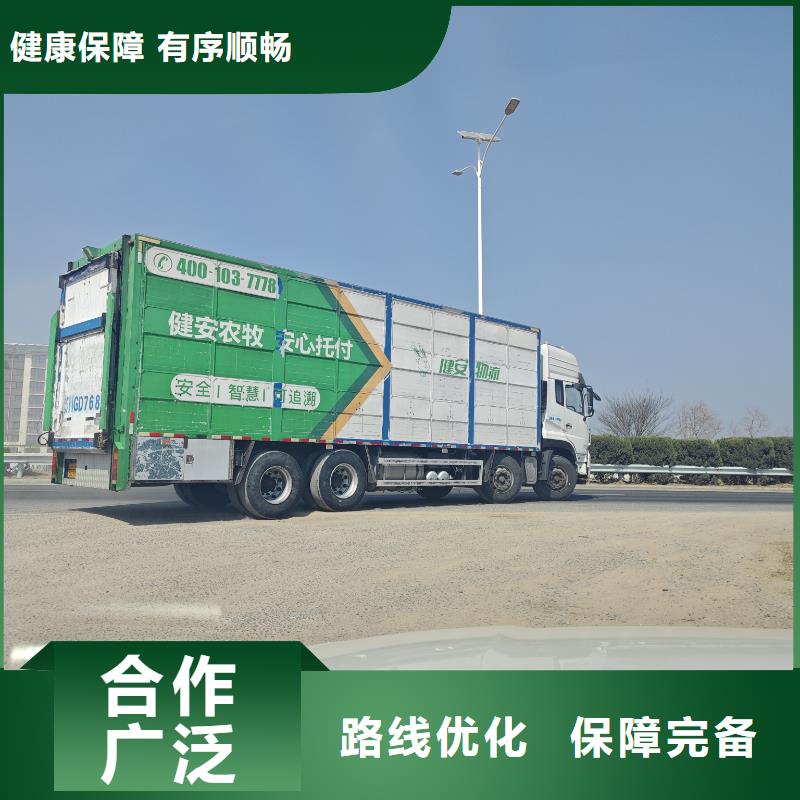 宿遷到豬籠車運(yùn)輸服務(wù)周到