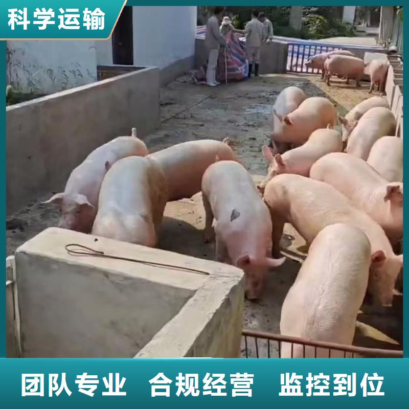 宿遷到空調(diào)車運輸資質(zhì)齊全