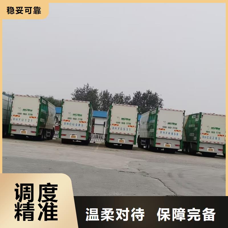 宿遷市泗陽到種豬運輸保障完備