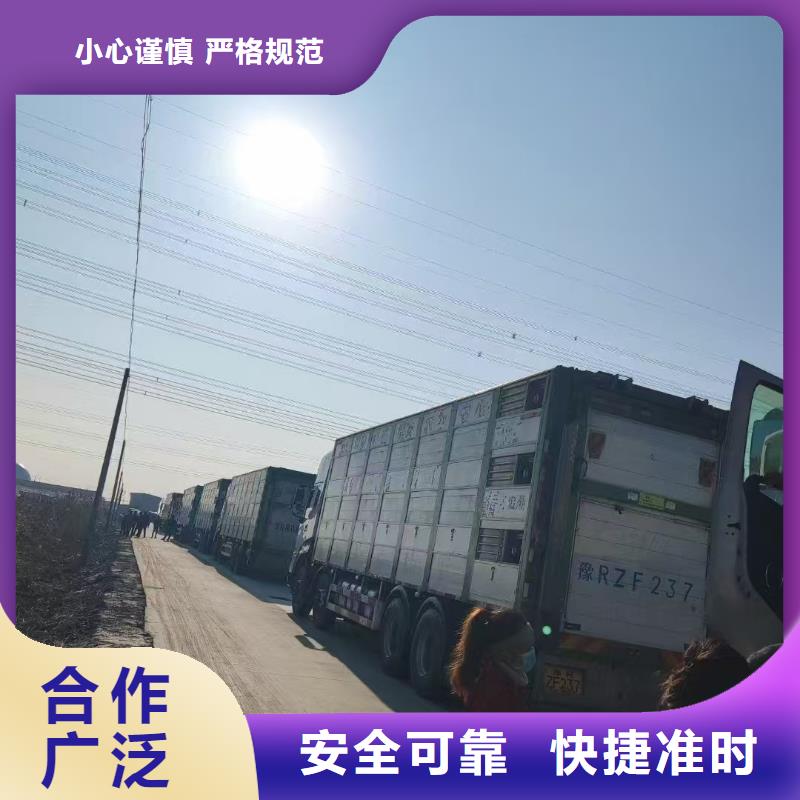 宿遷到仔豬恒溫車運輸部分地區當天達