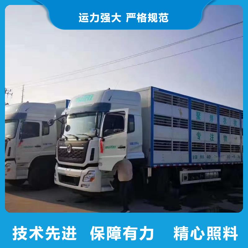 宿遷市到畜禽運輸網絡廣泛