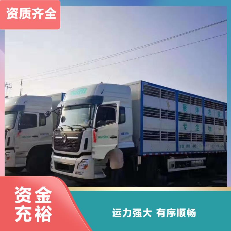 宿遷到空調(diào)車運輸資質(zhì)齊全