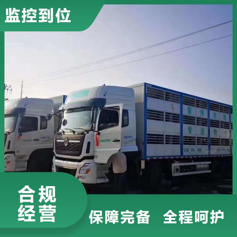 宿遷市沭陽到種豬空調車運輸技術先進