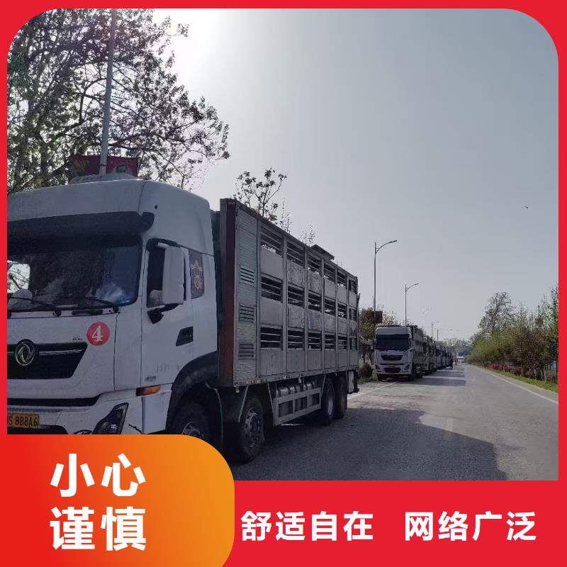 宿遷到仔豬恒溫車運輸部分地區當天達