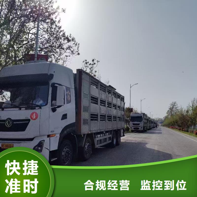 宿遷市沭陽到牲畜運輸平穩