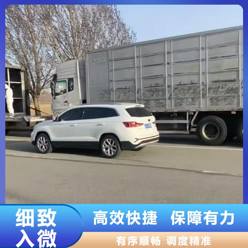 宿遷到種豬空調車運輸省內隔天送達