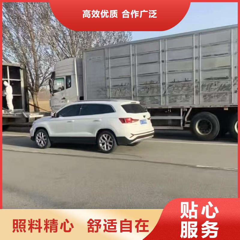 宿遷市泗陽到種豬運輸保障完備