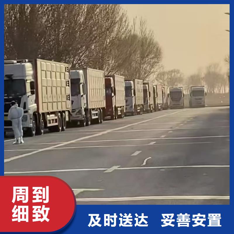 宿遷市泗洪到活禽運(yùn)輸技術(shù)先進(jìn)