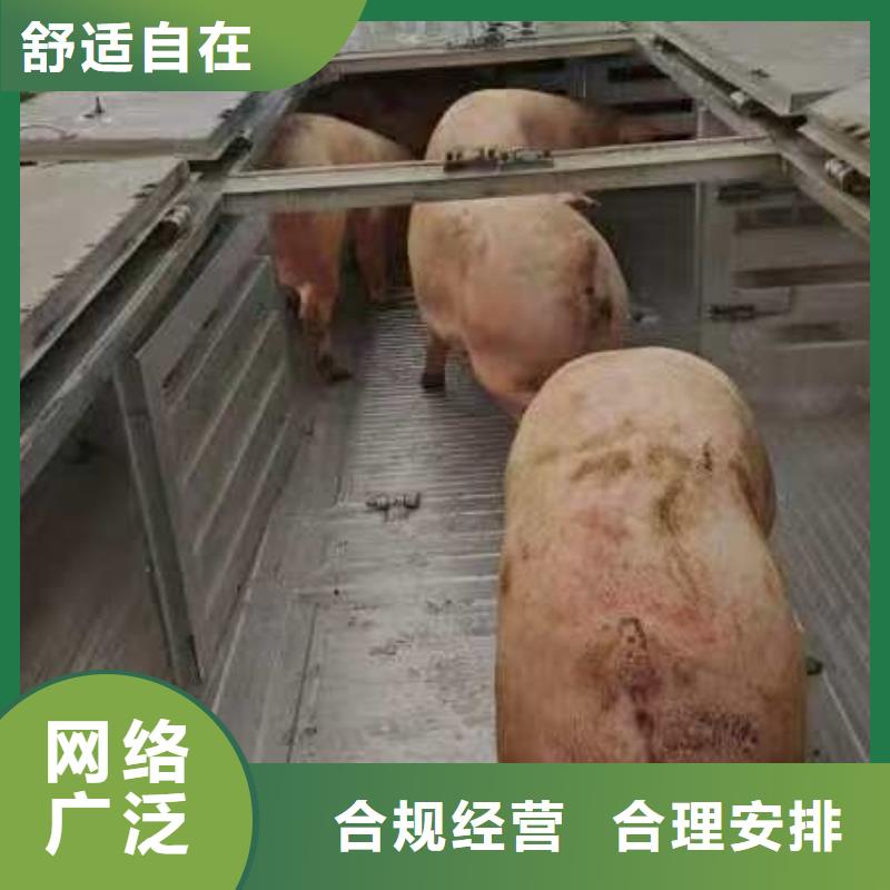 宿遷到活禽運輸