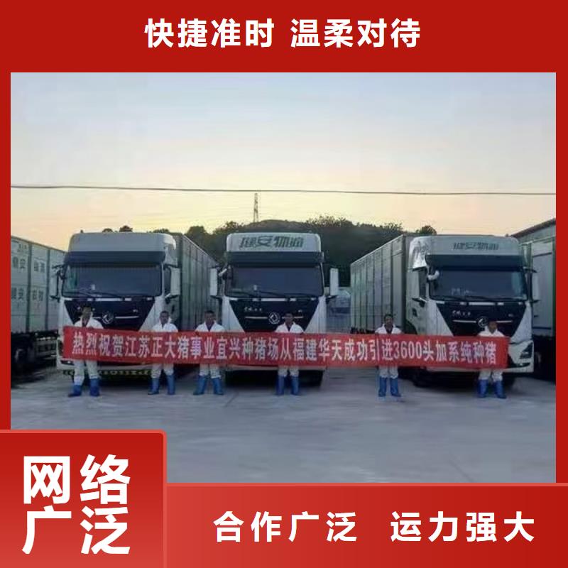 宿遷市泗陽到豬籠車運輸調度精準