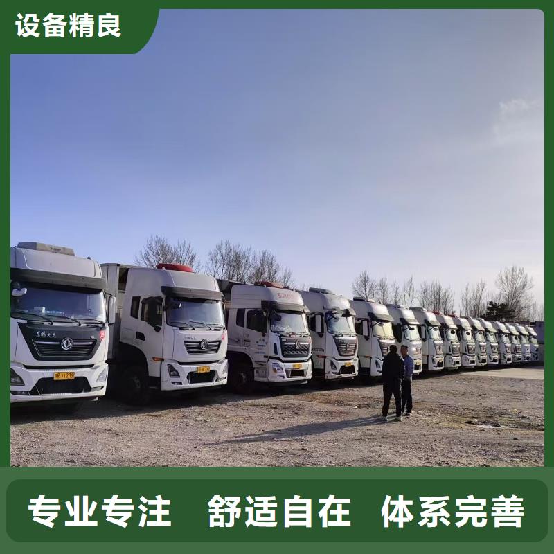 宿遷市泗洪到仔豬運輸應急