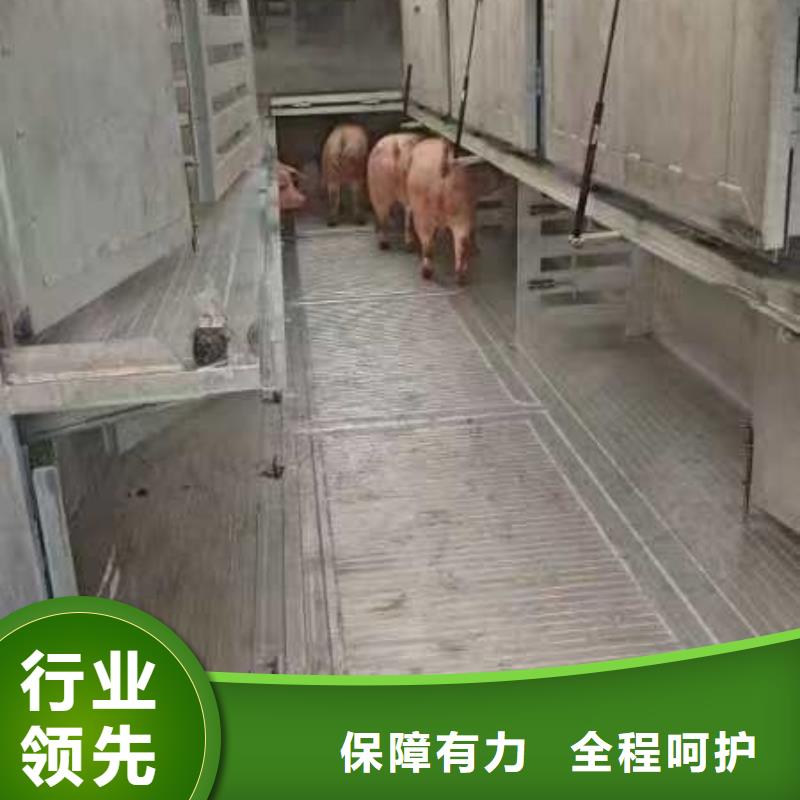 宿遷到羊運輸專用車服務有保障