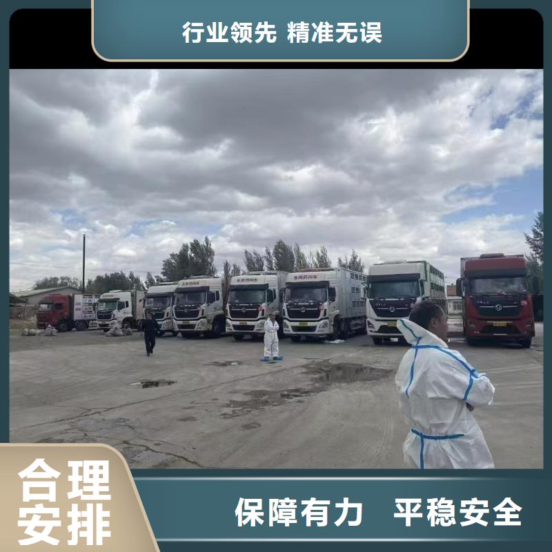 宿遷到仔豬恒溫車運輸部分地區當天達