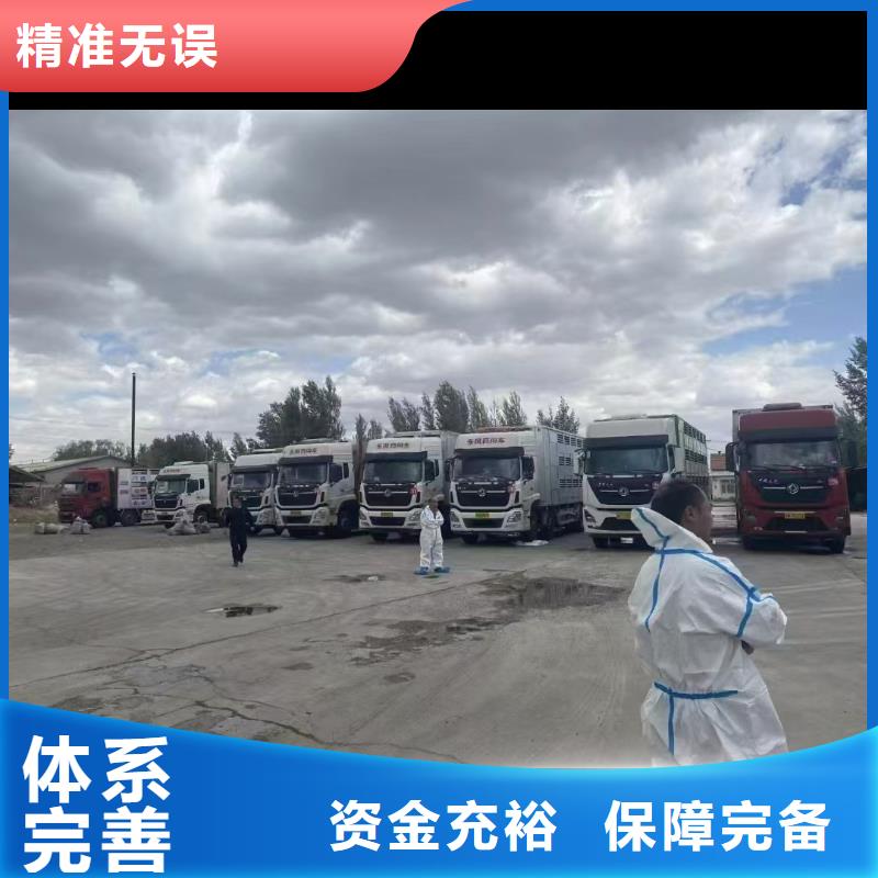 宿遷到仔豬恒溫車運輸部分地區當天達