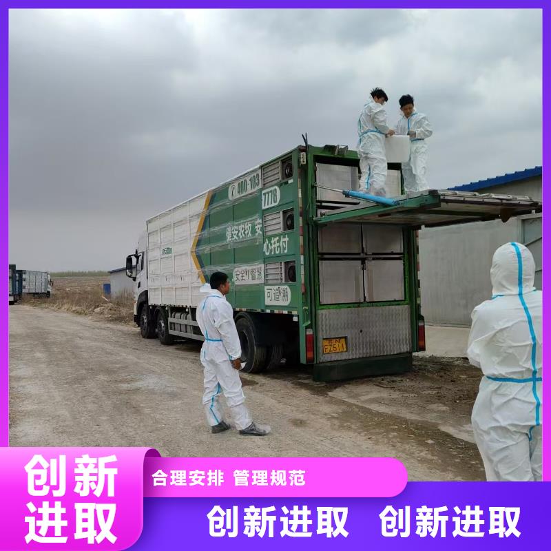 宿遷到活禽運輸