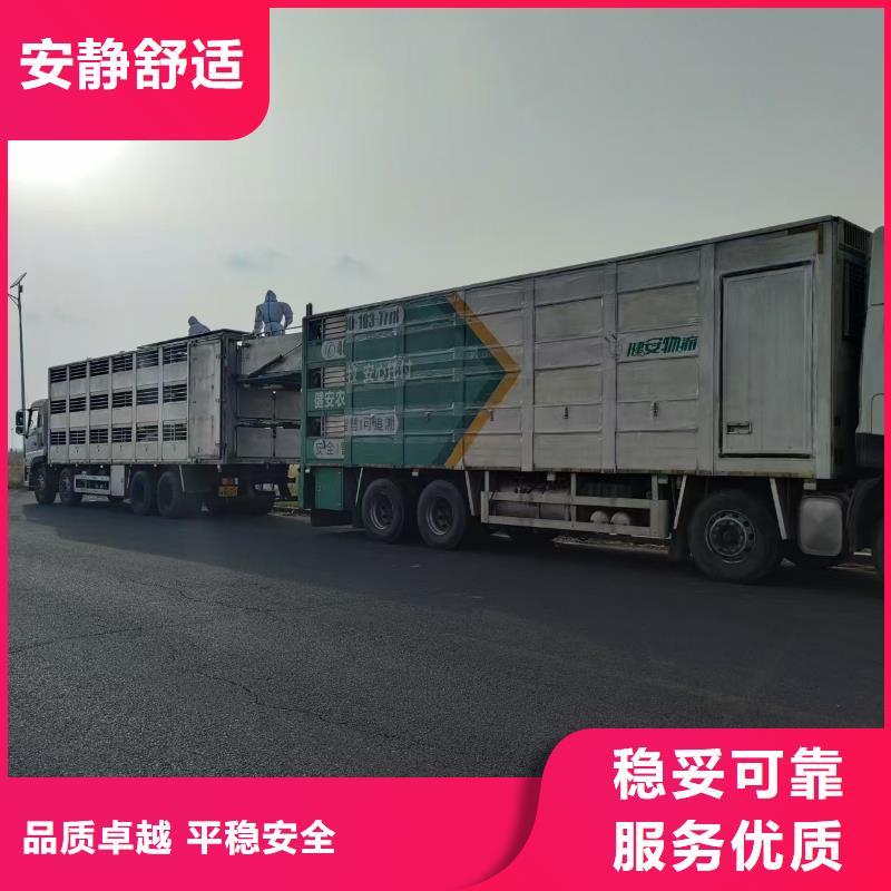 宿遷市到生豬恒溫車運輸省內隔天送達