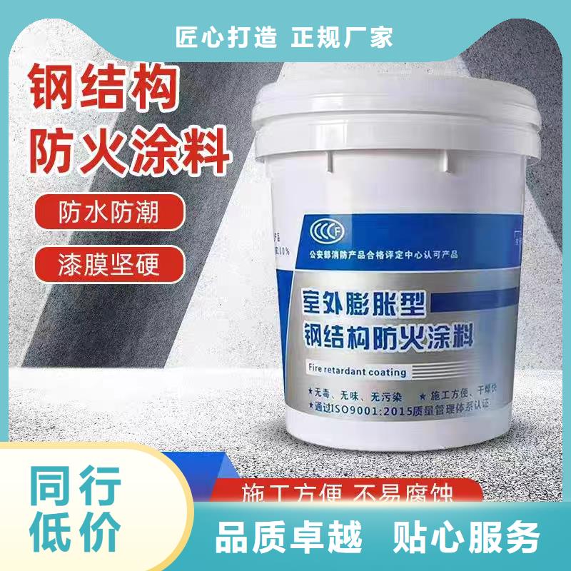 鋼結構專業(yè)防火涂料廠家直銷