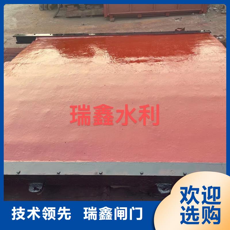 怒江水电站机门一体铸铁闸门指导安装