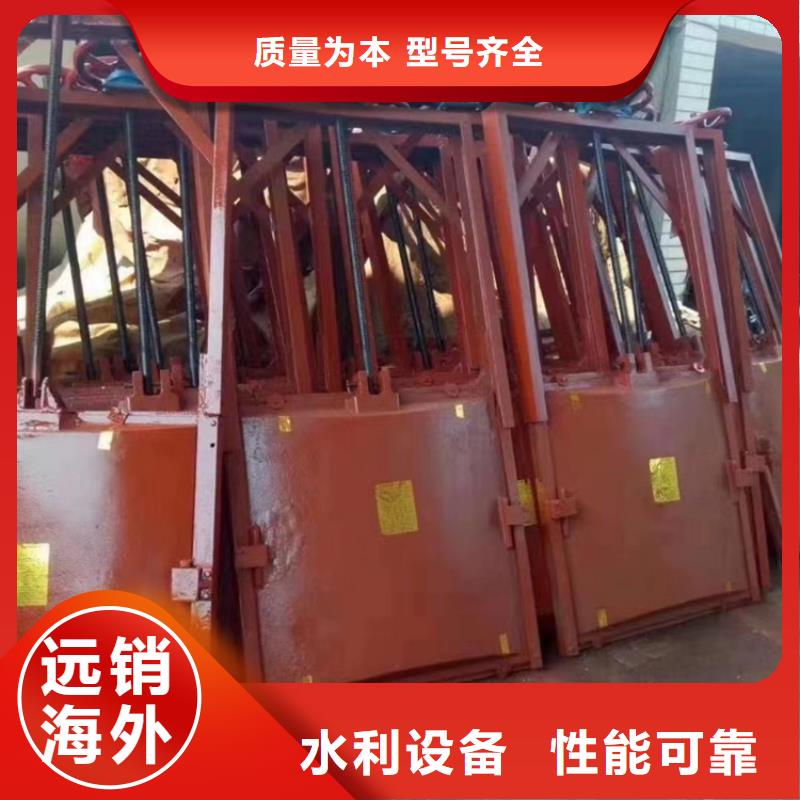 莱芜排灌双止水铸铁闸门经久耐用