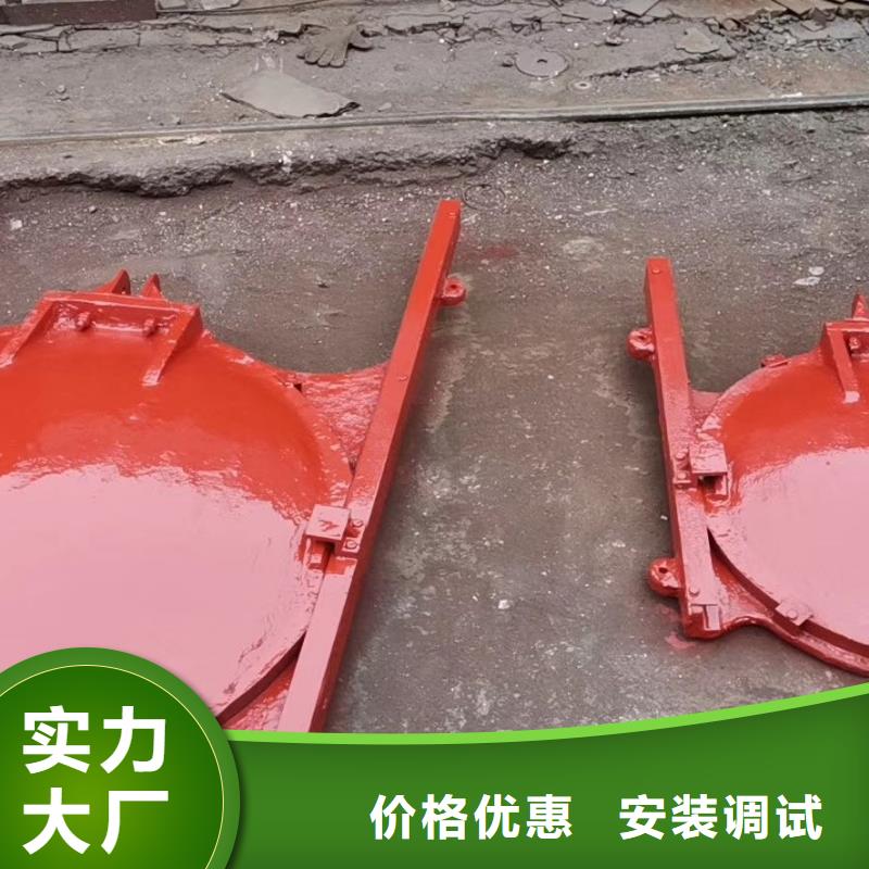怒江水电站机门一体铸铁闸门指导安装