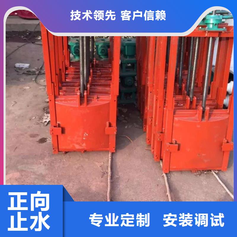 莱芜排灌双止水铸铁闸门经久耐用
