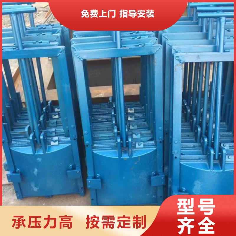 莱芜排灌双止水铸铁闸门经久耐用