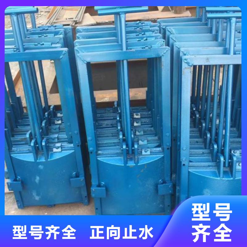 莱芜排灌双止水铸铁闸门经久耐用