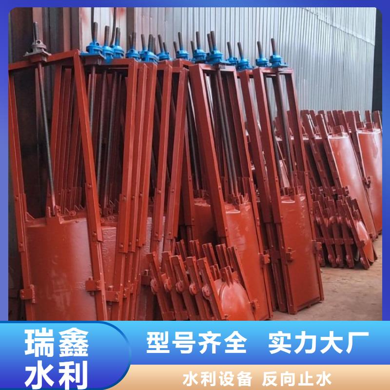 莱芜排灌双止水铸铁闸门经久耐用