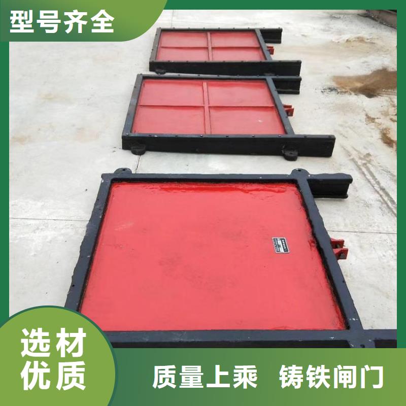 莱芜排灌双止水铸铁闸门经久耐用