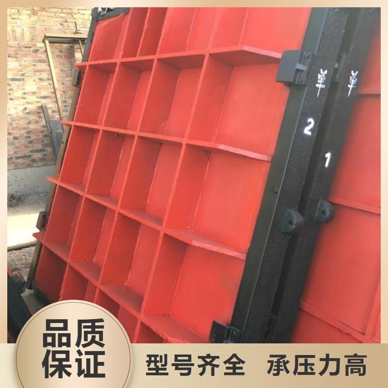 莱芜排灌双止水铸铁闸门经久耐用