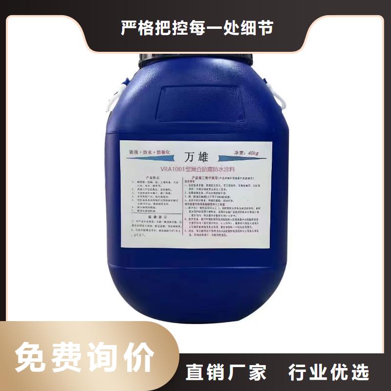 LV高分子聚合物防水防腐涂料質(zhì)優(yōu)價(jià)保加工CSPA復(fù)合防腐防水涂料