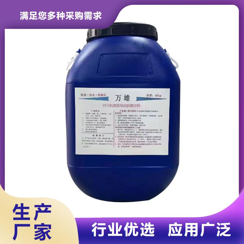 LV高分子聚合物防水防腐涂料一件也實體