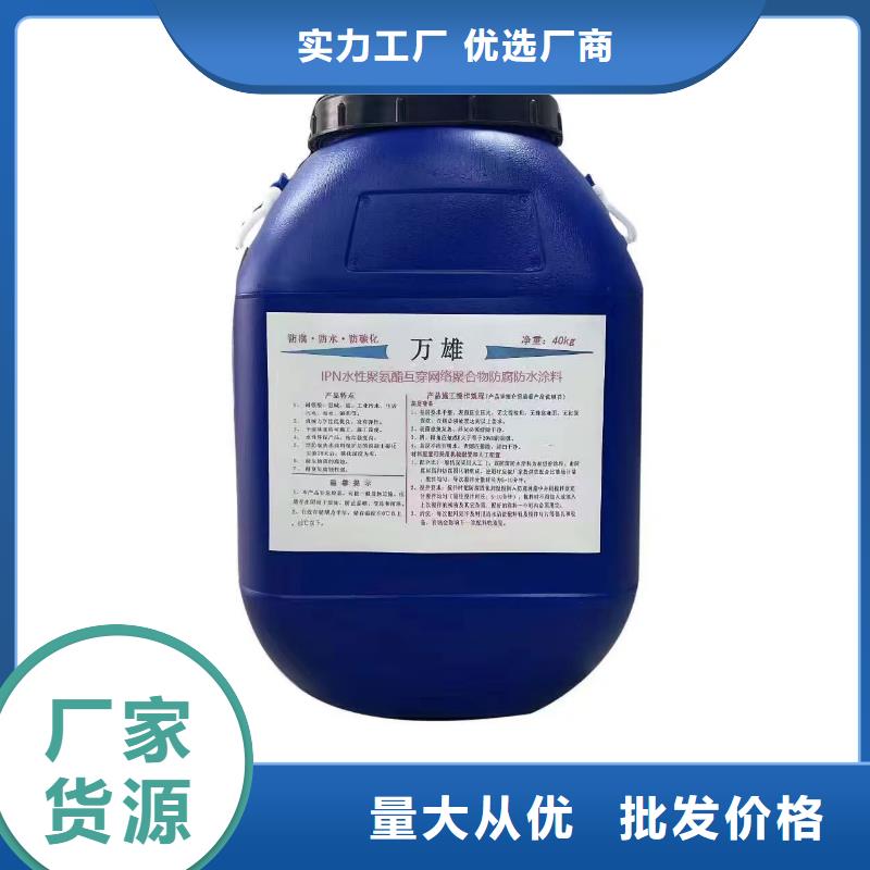 LV高分子聚合物防水防腐涂料質(zhì)優(yōu)價(jià)保加工CSPA復(fù)合防腐防水涂料