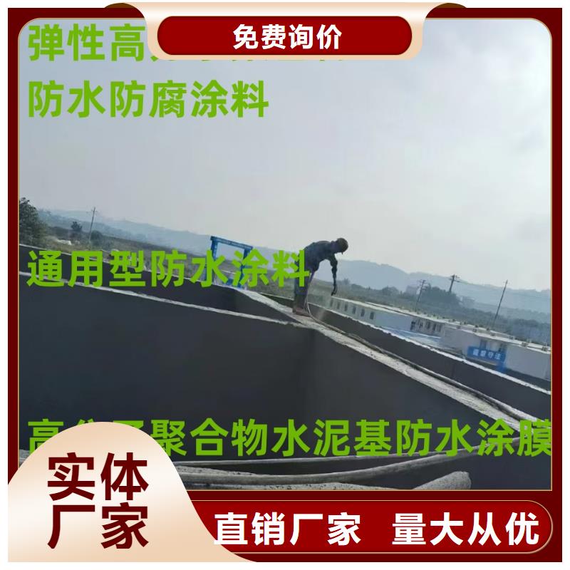 防碳化防腐防水涂料现货销售供应AST合成高分子防水涂膜