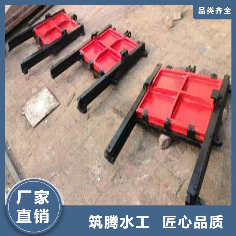 雨污分流閘門廠家直銷