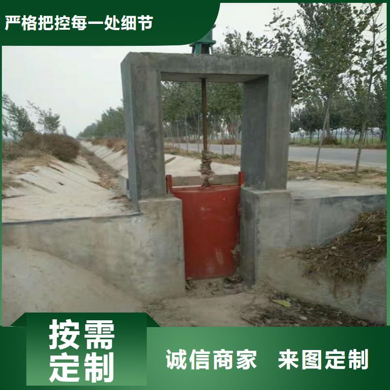 沖砂閘鑄鐵閘門工廠直供