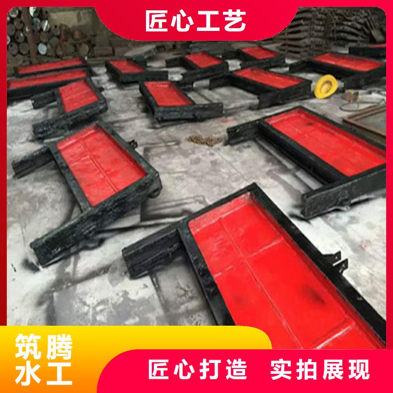 雨污分流閘門廠家直銷