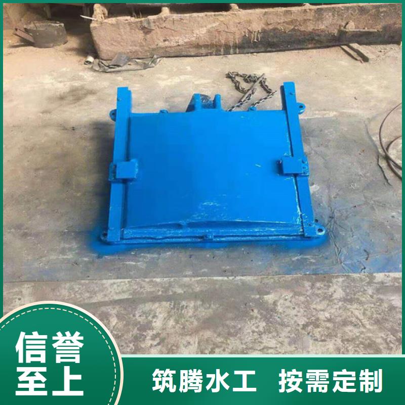 平板鑄鐵閘門型號齊全